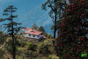 Goecha la trek blog