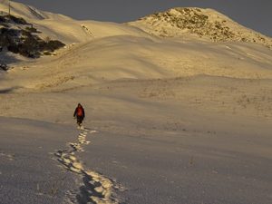 dayara bugyal trek