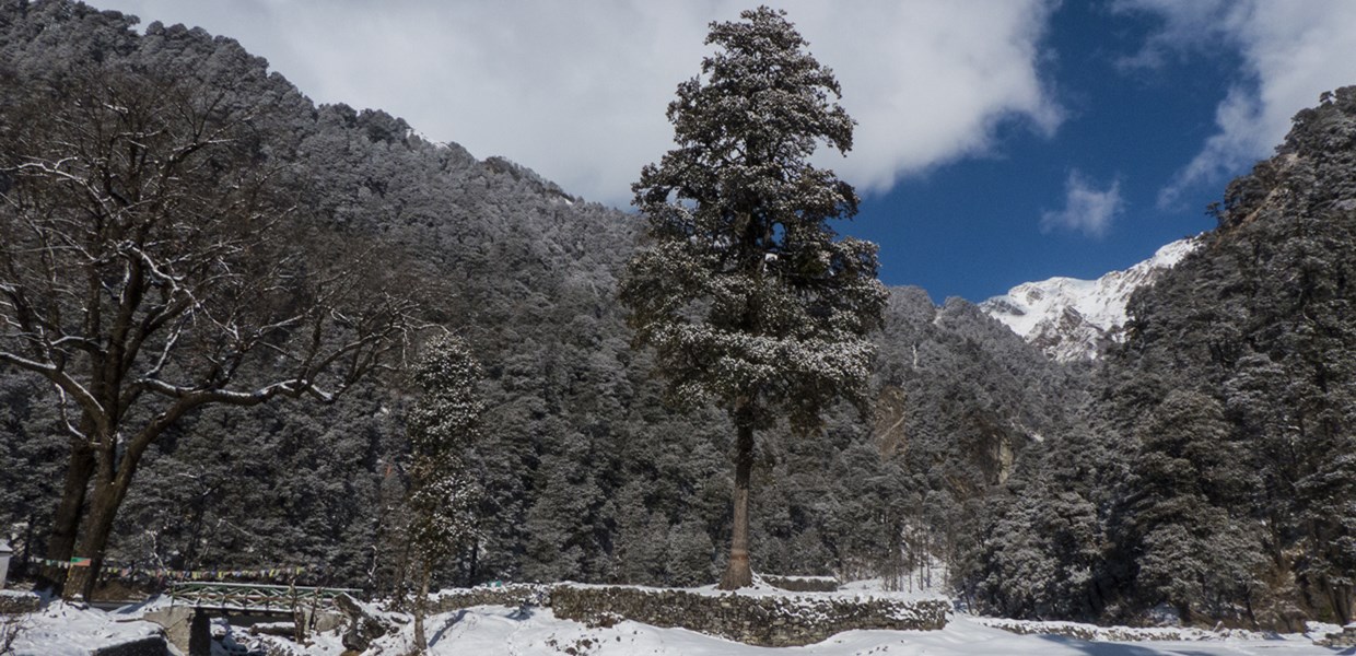Dodital Trek