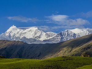 ali-bugyal-bedni-bugyal-trek-ht