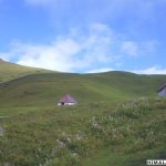 bedni-bugyal-roopkund-trek