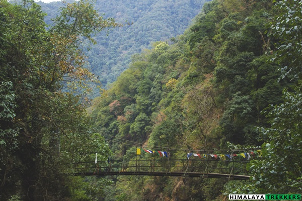 at-first-bridge-dzongri-trek