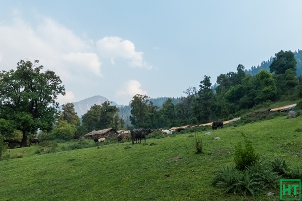 gairi-campsite-sahastra-tal-trek