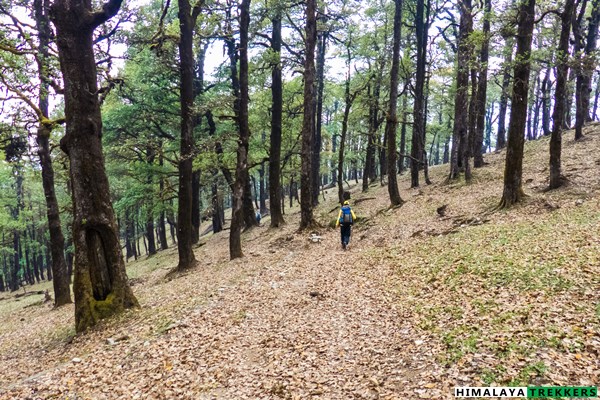 walking-towards-belak-village