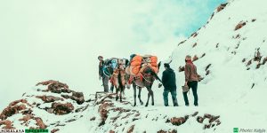 HIMALAYA-TREKKERS-HT-trekking-in-indian-himalayas