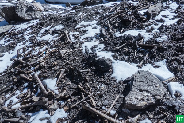 roopkund-skeleton-mystery-new-revelations