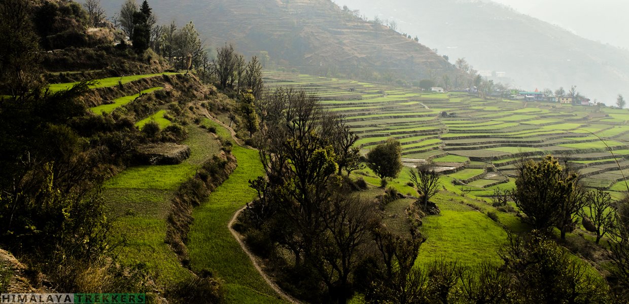 Nag Tibba Trek