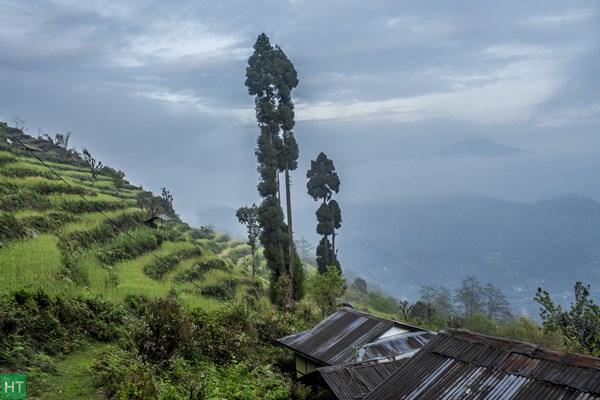 low-altitude-trek-in-sikkim