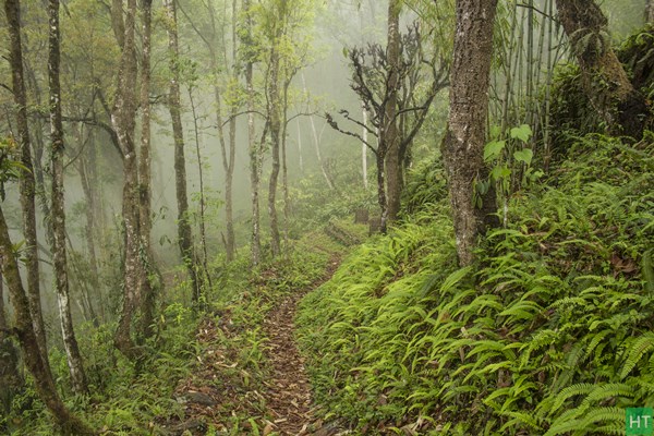 sikkim-solo-trek-option