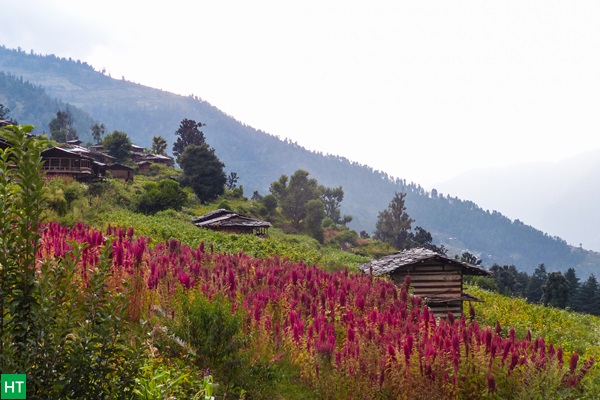 village-walk-on-har-ki-dun-valley