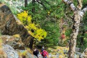 fall-colours-on-kedartal-trek