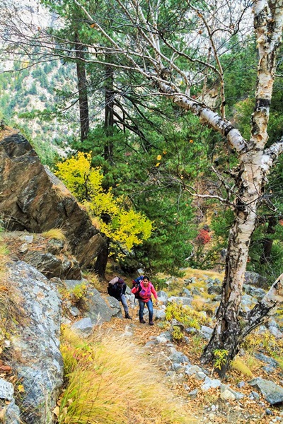 fall-colours-on-kedartal-trek