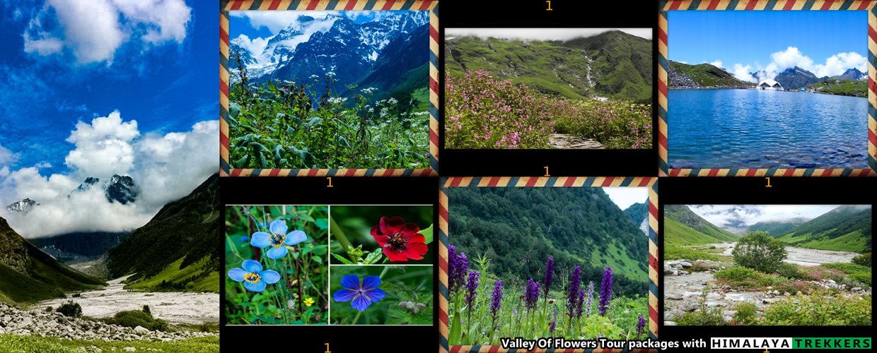 Valley Of Flowers Trek Tour Packages and cost 2025