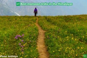 Best Monsoon Treks (Jul–Aug) in the Indian Himalayas