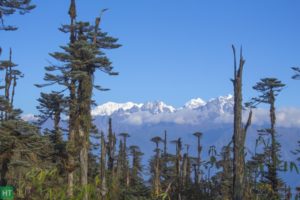 maenam-bhaleydhunga-trek