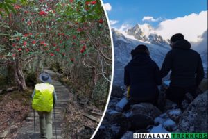 Trekking in Sikkim and Darjeeling: A guide to the best trekking routes and trekking packages