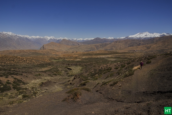 Walking from Komic to Demul via Komic La (~4,780 m) — a high, open stretch on the Spiti Homestay Trek.
