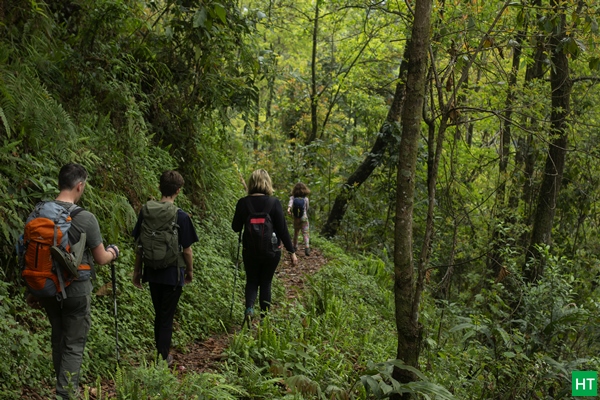typical-village-to-village-forested-trail-sikkim