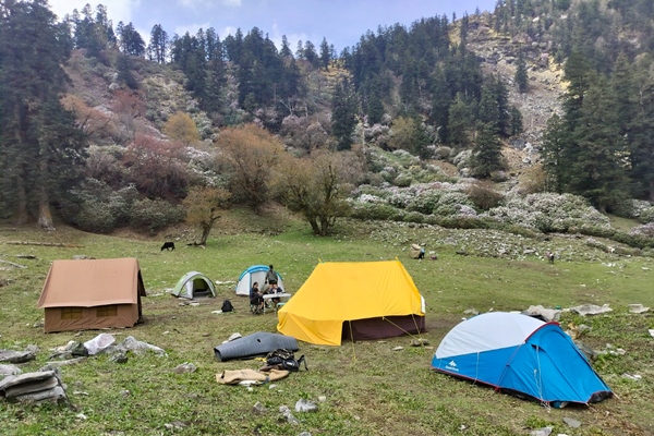 camping-family-private-trek-in-uttarakhand