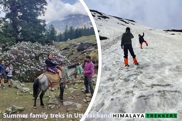 summer-family-trekls-in-uttarakhand